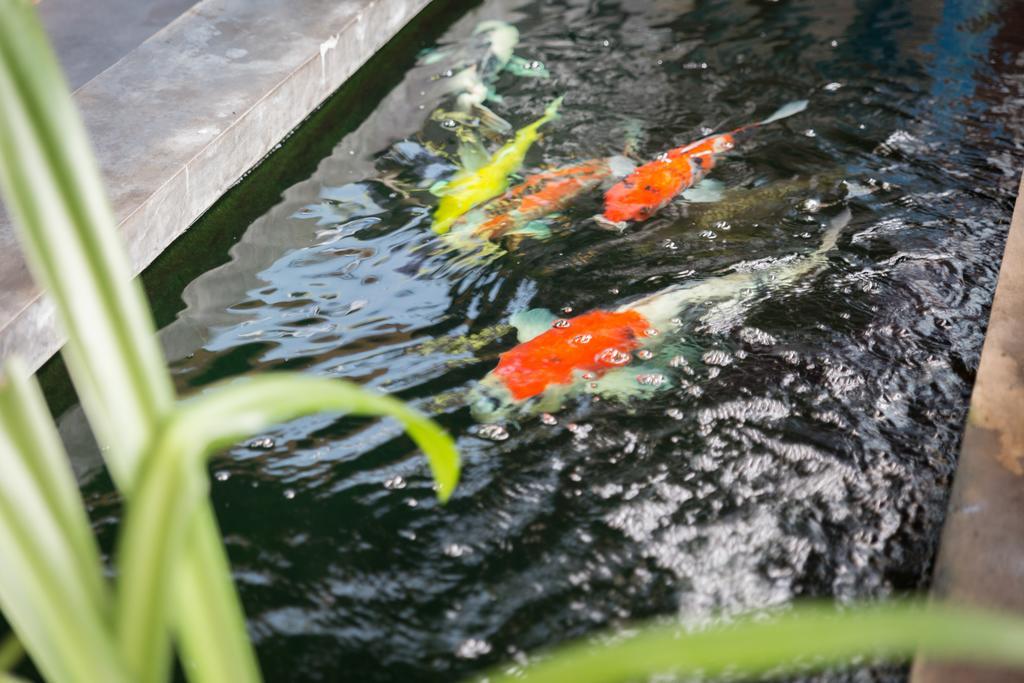 Memory Patong - Sha Certified Hotel Ngoại thất bức ảnh
